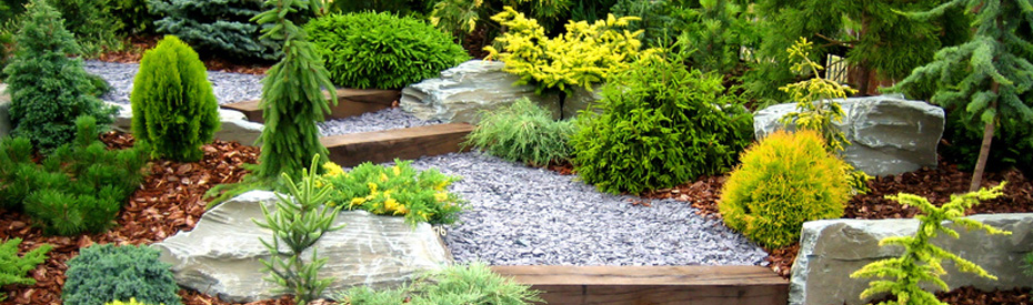 Landscaping Guelph - Main Image
